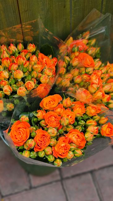 Multiple bouquets of fresh orange roses with tightly rolled petals and green stems, wrapped in clear plastic and dark green paper, are arranged outdoors on a brick-paved surface, likely prepared for f